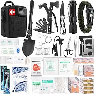 DLMD 320 PCS Survival Kits First Aid Kit, Gifts for Men Christmas Him Dad, Survival Gear and Equipment with Tactical Molle Pouch for Car Camping Hiking Outdoor Adventure Earthquake Home Office